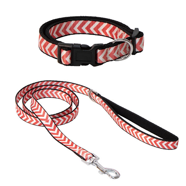 Eastland Köpek Tasmaları