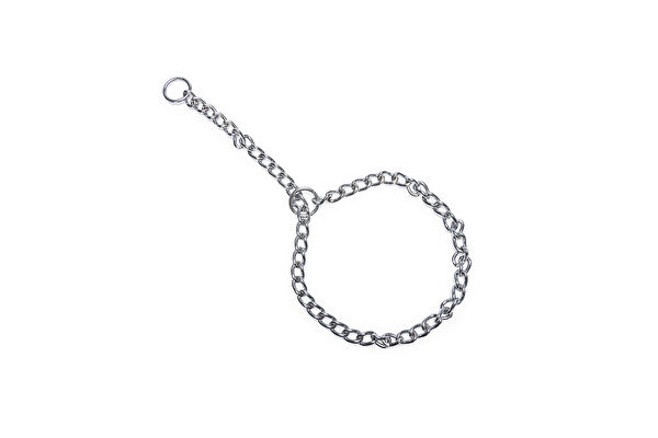 Beeztees Köpek Tasmaları