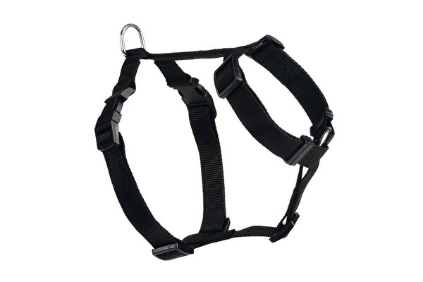 Beeztees Köpek Tasmaları