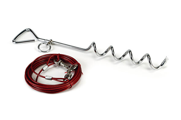 Beeztees Köpek Tasmaları