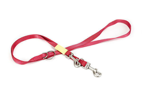 Beeztees Köpek Tasmaları