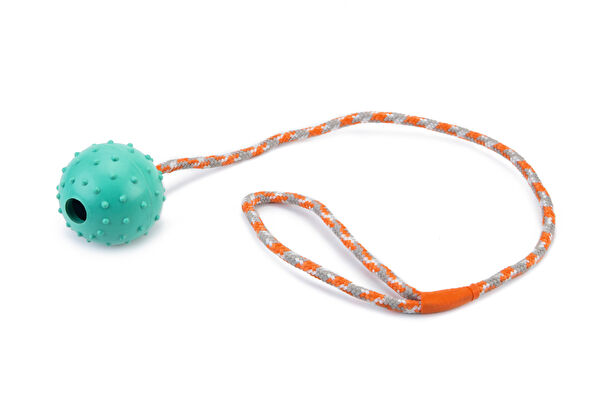 Beeztees Köpek Oyuncakları