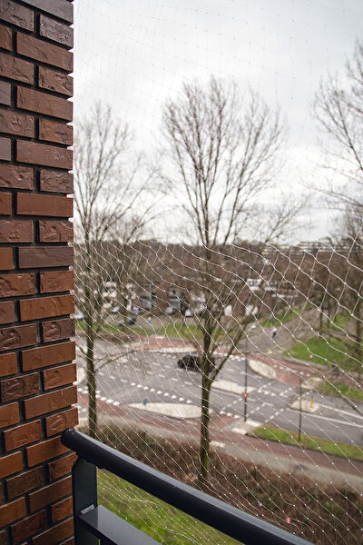 Beeztees Kedi Güvenlik