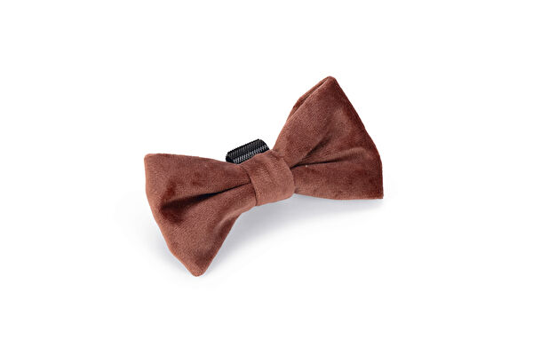 Beeztees Köpek Tasmaları