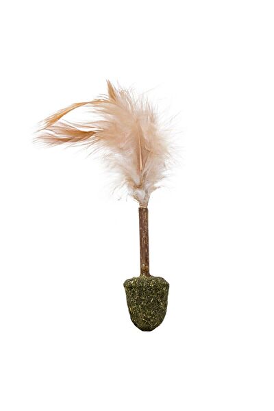 Eastland Kedi Oyuncakları