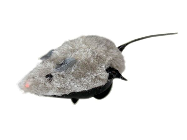 Eastland Kedi Oyuncakları