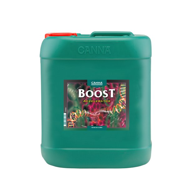 Canna Bitki Vitamini, Besini