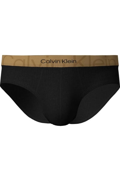 Calvin Klein Erkek Boxer, Slip, Külot