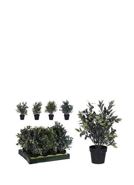 Boyner Evde Vazo, Saksı