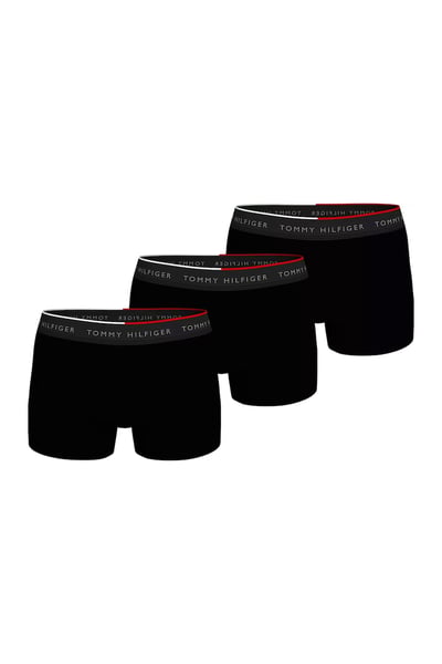 Tommy Hilfiger Erkek Boxer, Slip, Külot