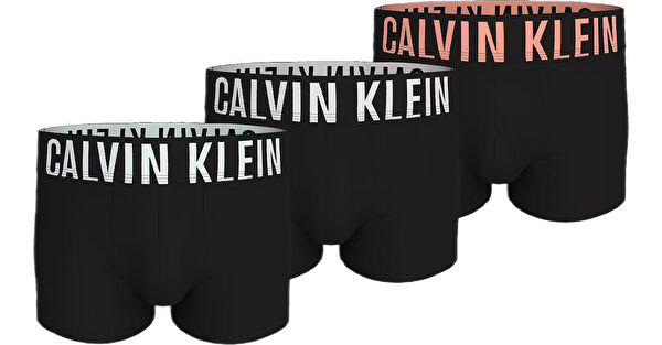 Calvin Klein Erkek Boxer, Slip, Külot