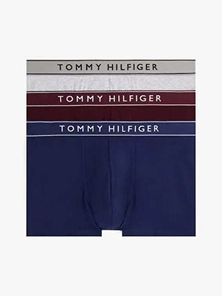 Tommy Hilfiger Erkek Boxer, Slip, Külot