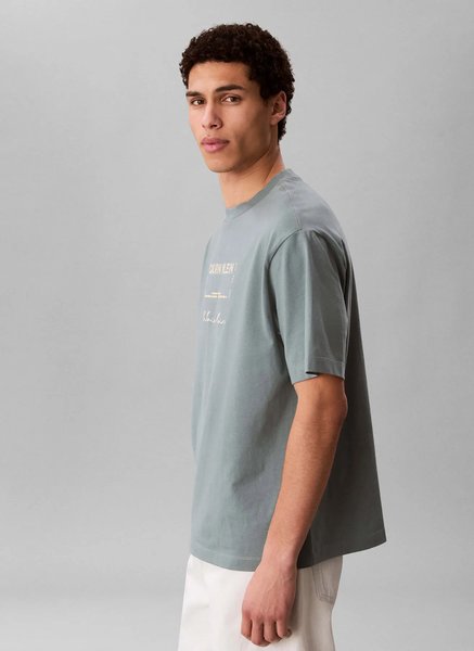 Calvin Klein Erkek Tişört
