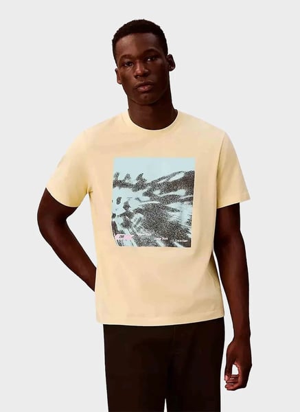 Calvin Klein Erkek Tişört