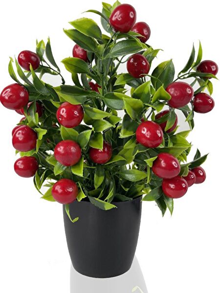 Nettenevime Yapay Çiçek, Meyve