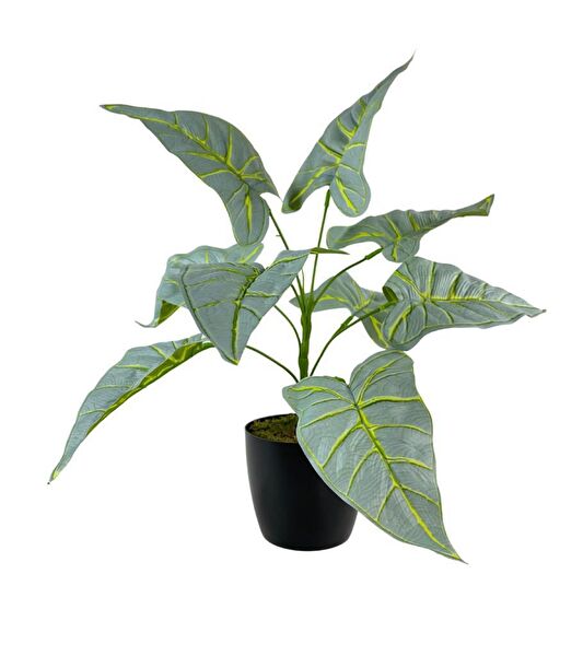 Nettenevime Yapay Çiçek, Meyve