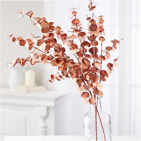 Nettenevime Yapay Çiçek, Meyve