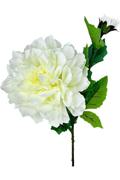 Nettenevime Yapay Çiçek, Meyve