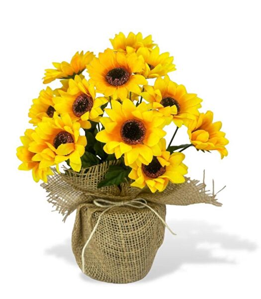 Nettenevime Yapay Çiçek, Meyve