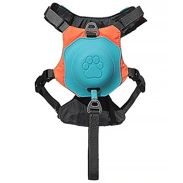 Hesperus Köpek Tasmaları