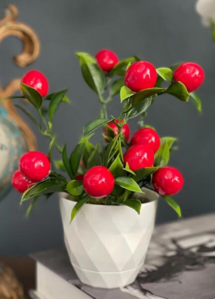 Nettenevime Yapay Çiçek, Meyve