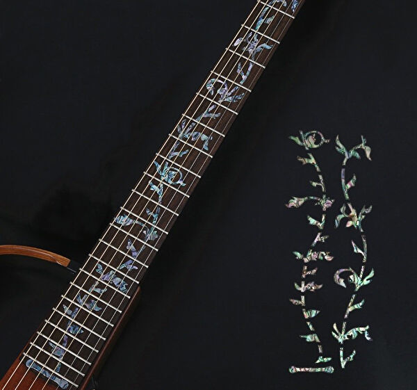 Raymond Telli Çalgı Aksesuarları