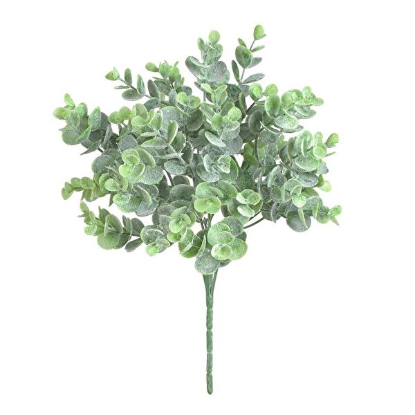 Nettenevime Yapay Çiçek, Meyve