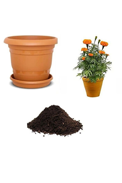 Serdar Çam Tohumculuk Tohum