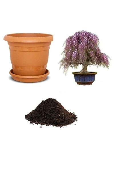 Serdar Çam Tohumculuk Tohum