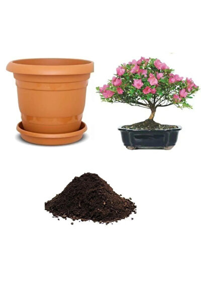 Serdar Çam Tohumculuk Tohum