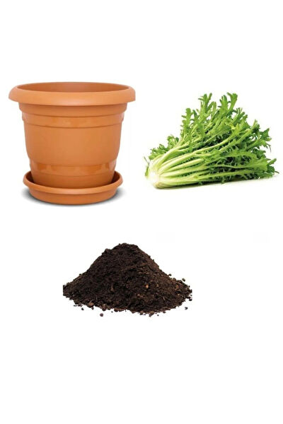 Serdar Çam Tohumculuk Tohum