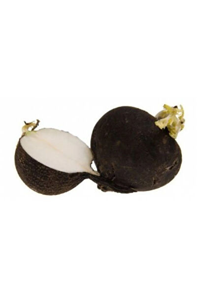 Serdar Çam Tohumculuk Tohum