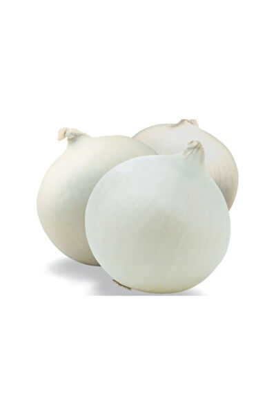 Serdar Çam Tohumculuk Tohum