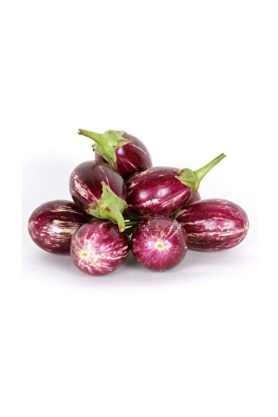 Serdar Çam Tohumculuk Tohum