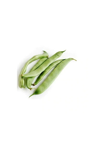 Serdar Çam Tohumculuk Tohum