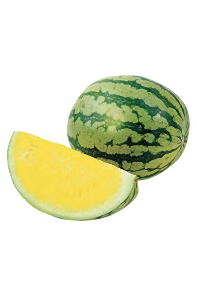 Serdar Çam Tohumculuk Tohum