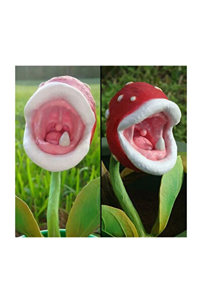 Serdar Çam Tohumculuk Tohum