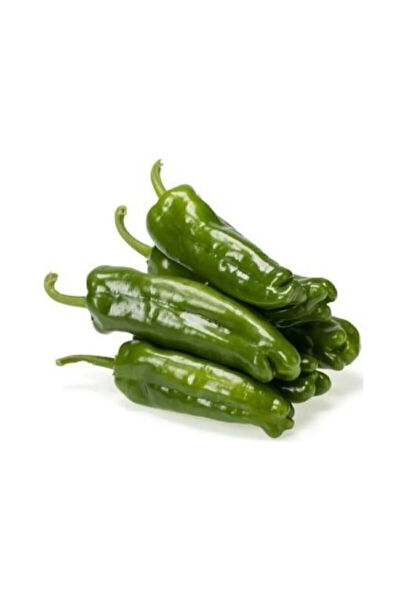 Serdar Çam Tohumculuk Tohum