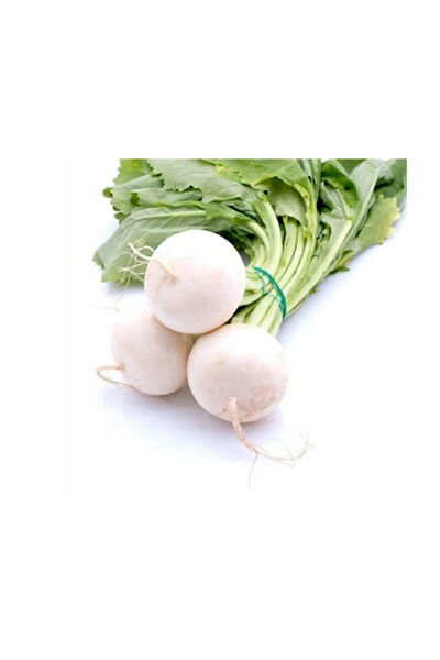 Serdar Çam Tohumculuk Tohum