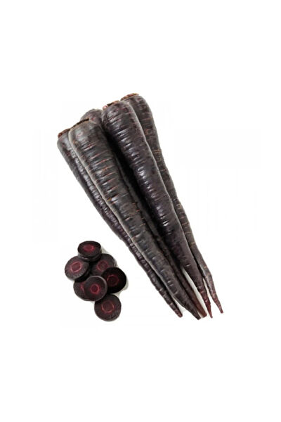 Serdar Çam Tohumculuk Tohum