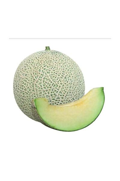 Serdar Çam Tohumculuk Tohum