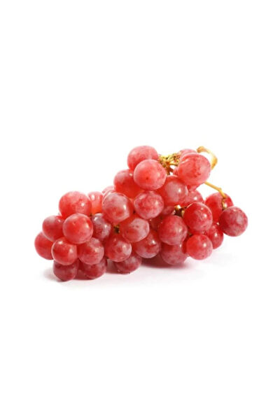 Serdar Çam Tohumculuk Tohum