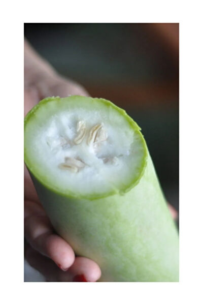 Serdar Çam Tohumculuk Tohum