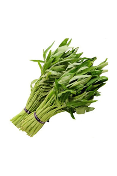 Serdar Çam Tohumculuk Tohum