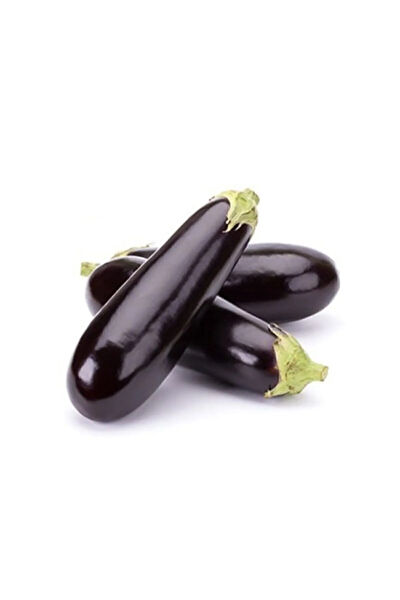 Serdar Çam Tohumculuk Tohum