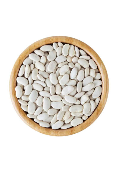 Serdar Çam Tohumculuk Tohum