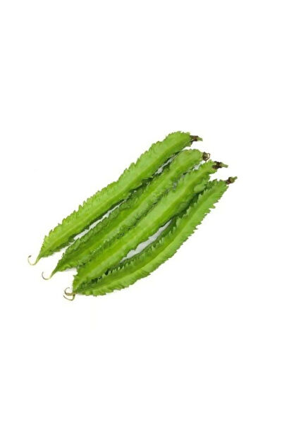 Serdar Çam Tohumculuk Tohum