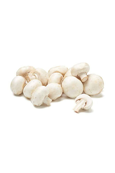 Serdar Çam Tohumculuk Tohum