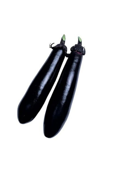 Serdar Çam Tohumculuk Tohum