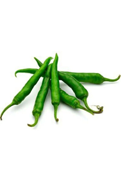 Serdar Çam Tohumculuk Tohum